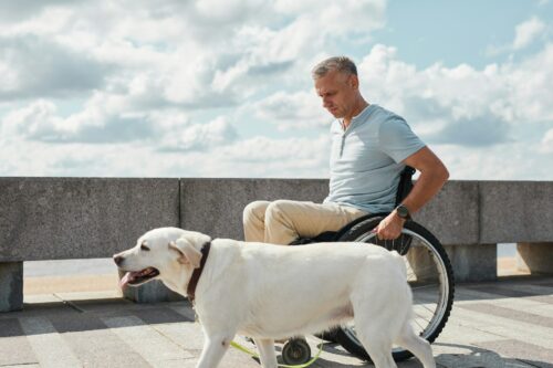 Wheelchair Ramp