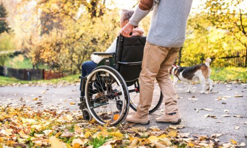 Wheelchair